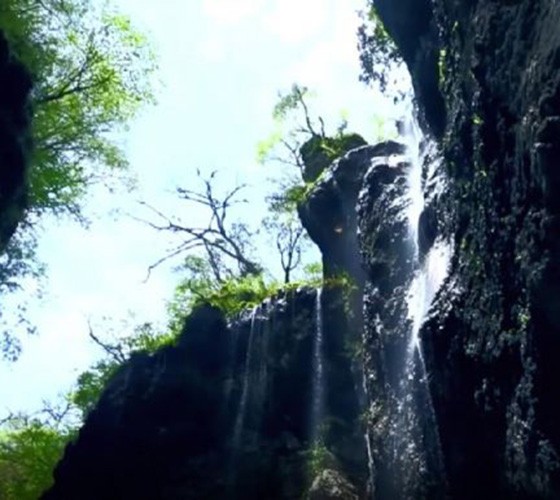 青山綠水，白龍江畔江畔息白鷺，兩岸綠橄欖入眼的都是純樸自然枝上花開(kāi)，春來(lái)水暖魚(yú)蝦戲水，鳥(niǎo)語(yǔ)花香心中充滿(mǎn)著舒暢之感祥宇生態(tài)產(chǎn)業(yè)園，位于隴南市武..